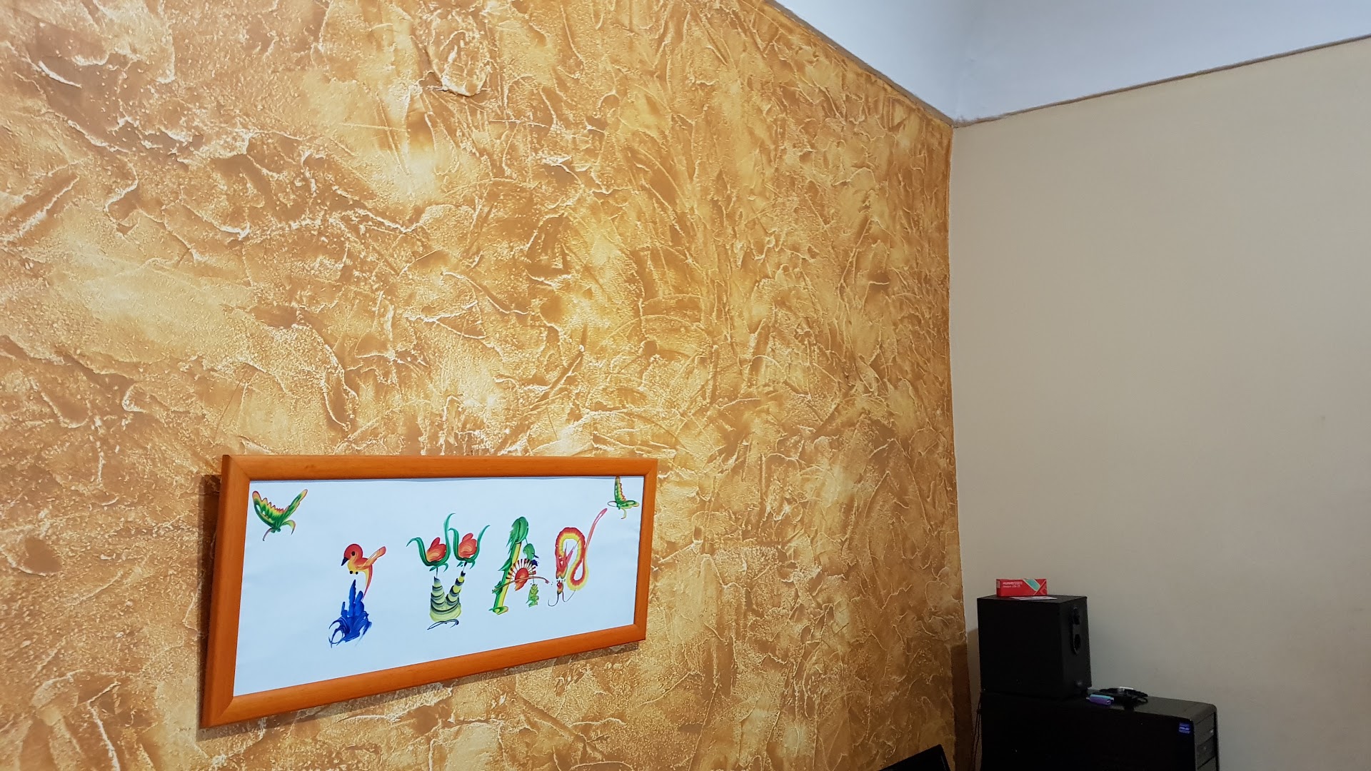 Manolo - Pintor Decorador — Fotos 12